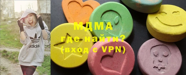 индика Чердынь