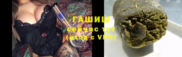 индика Чердынь
