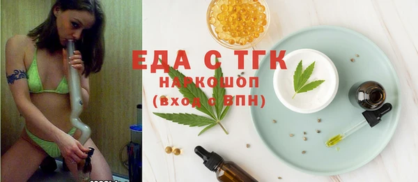 индика Чердынь
