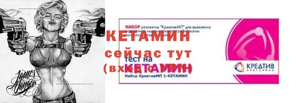 твердый Чекалин