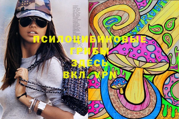 твердый Чекалин