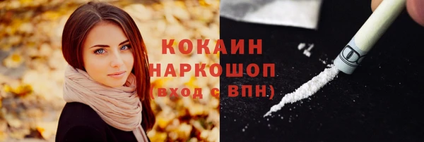 индика Чердынь