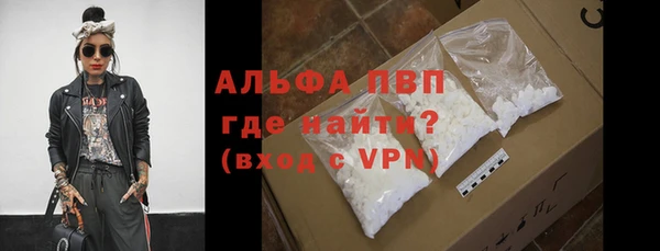 индика Чердынь