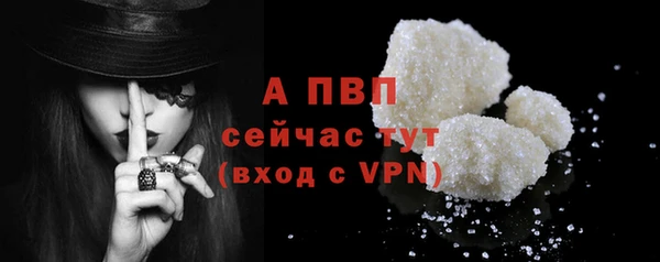 индика Чердынь