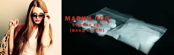 индика Чердынь
