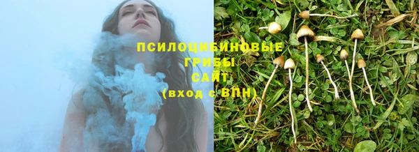 МДПВ Чегем