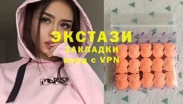 индика Чердынь