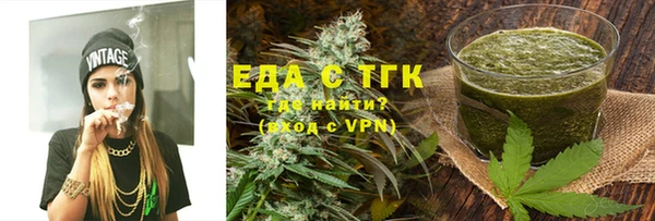 индика Чердынь