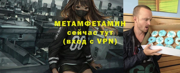 индика Чердынь