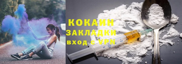 твердый Чекалин