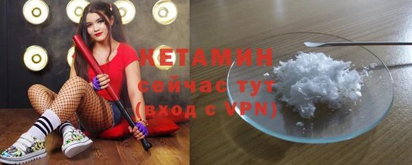 индика Чердынь