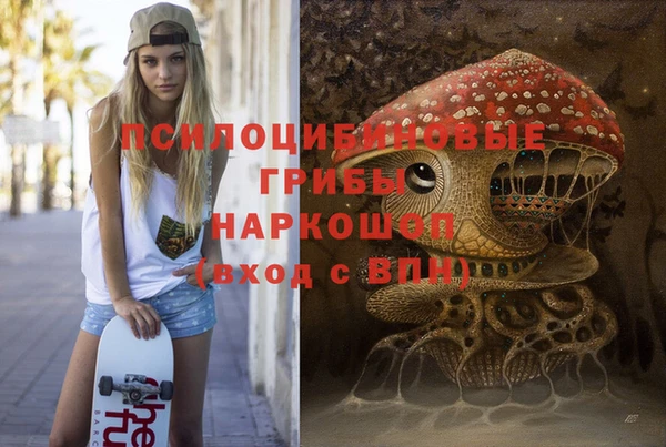МДПВ Чегем