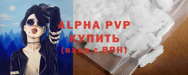 индика Чердынь