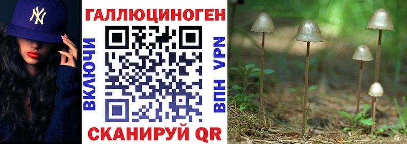 Галлюциногенные грибы Cubensis  где продают   Иркутск 