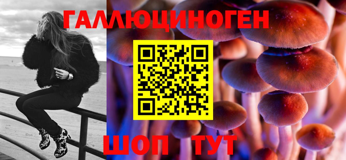 Иркутск  Галлюциногенные грибы Psilocybine cubensis  купить наркотики цена  Галлюциногенные грибы Psilocybe  Вход с VPN 