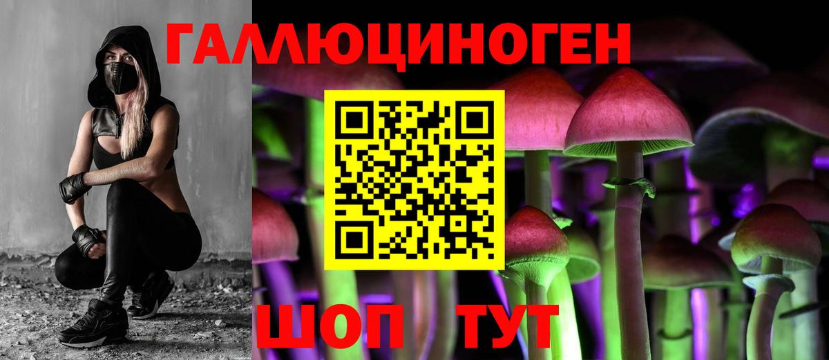 Псилоцибиновые грибы ЛСД Иркутск